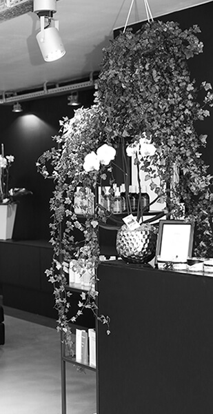 Atelier Coiffure Mike Degand, à Bondues